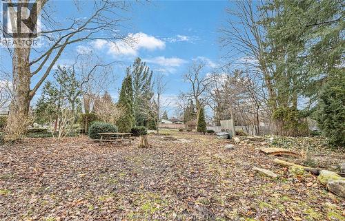 66 Delaware Avenue, Chatham, ON - Outdoor With View