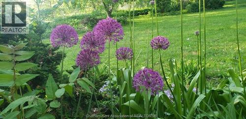 66 Delaware Avenue, Chatham, ON - Outdoor