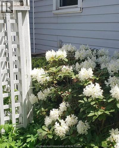 66 Delaware Avenue, Chatham, ON - Outdoor