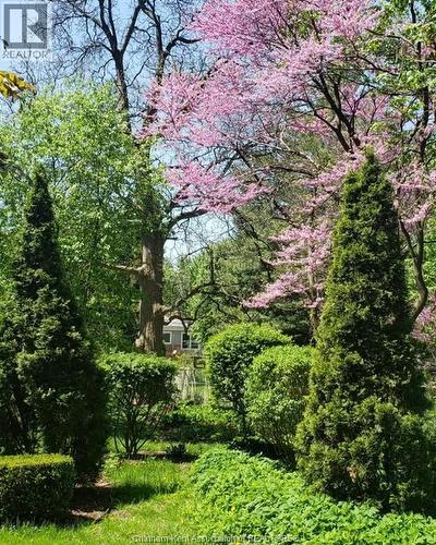 66 Delaware Avenue, Chatham, ON - Outdoor