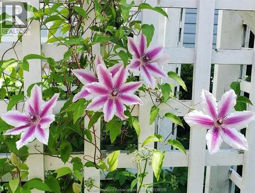 66 Delaware Avenue, Chatham, ON -  With View