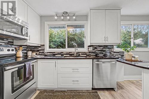 185 Withrow Avenue, Ottawa, ON - Indoor Photo Showing Kitchen With Upgraded Kitchen