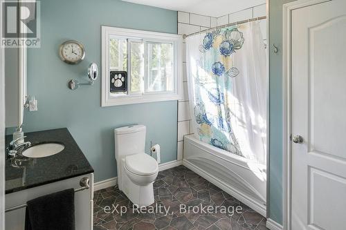 179422 Grey Road 17, Georgian Bluffs, ON - Indoor Photo Showing Bathroom