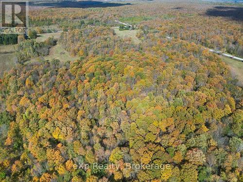 179422 Grey Road 17, Georgian Bluffs, ON - Outdoor With View