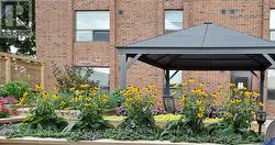 Enjoy the flowers and the birds - 