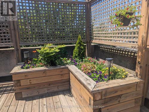 401 - 141 Church Street, St. Catharines (Downtown), ON - Outdoor