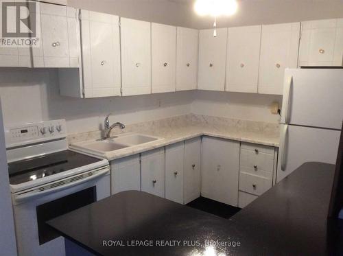 207 - 1100 Caven Street, Mississauga, ON - Indoor Photo Showing Kitchen With Double Sink