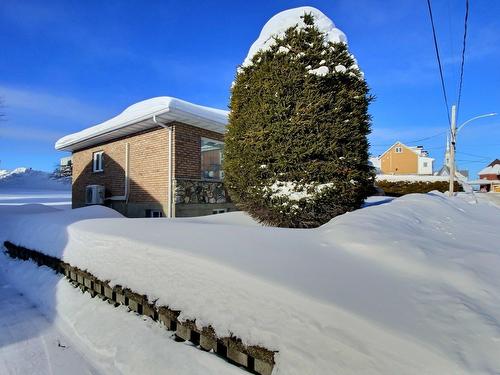 Cour - 65 Rue Du Parc, Adstock, QC - Outdoor