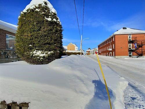 Cour - 65 Rue Du Parc, Adstock, QC - Outdoor