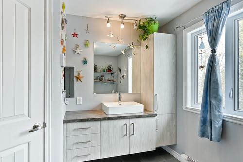 Bathroom - 168 Rue Des Érables, Eastman, QC - Indoor Photo Showing Bathroom