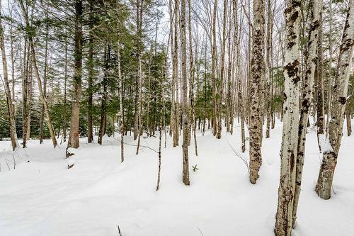 Land/Lot - 168 Rue Des Érables, Eastman, QC - Outdoor With View