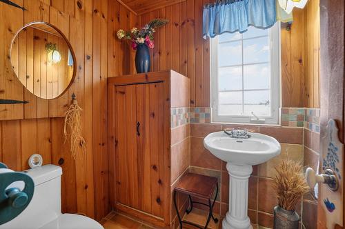 Salle d'eau - 425 Rue Voligny, Saint-Thomas, QC - Indoor Photo Showing Bathroom