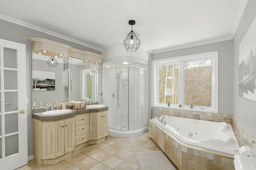 Salle de bains - 861  - 865 Rue Des Pinsons, Sainte-Adèle, QC - Indoor Photo Showing Bathroom