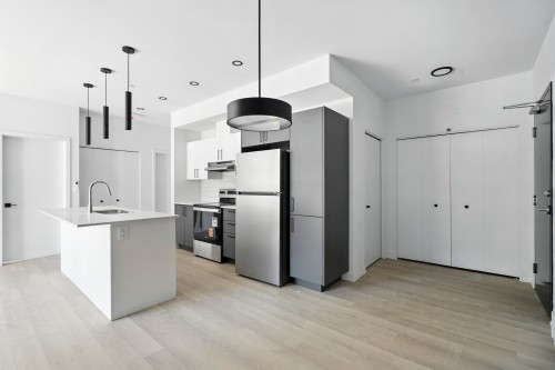 Cuisine - 102-324 Ch. Freeman, Gatineau (Hull), QC - Indoor Photo Showing Kitchen With Upgraded Kitchen