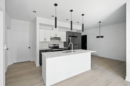 Cuisine - 102-324 Ch. Freeman, Gatineau (Hull), QC - Indoor Photo Showing Kitchen With Double Sink With Upgraded Kitchen