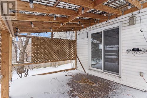 121 Elizabeth Street, Mississippi Mills, ON - Outdoor