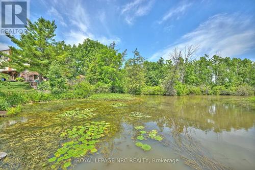 10266 Willodell Road, Niagara Falls (Lyons Creek), ON - Outdoor With Body Of Water With View