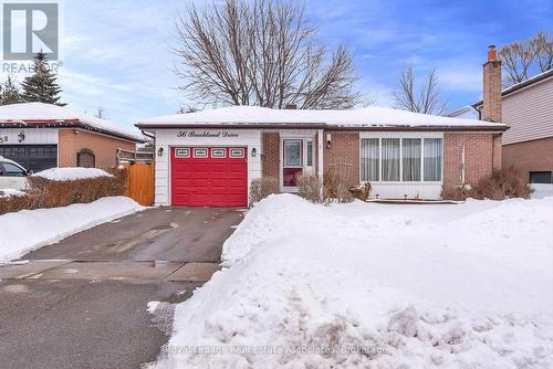 56 BROOKLAND DRIVE  Brampton, ON L6T 2M5