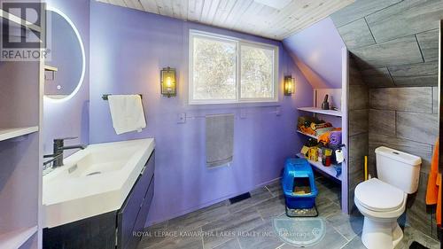 8 Fr 62 Street, Trent Lakes, ON - Indoor Photo Showing Bathroom