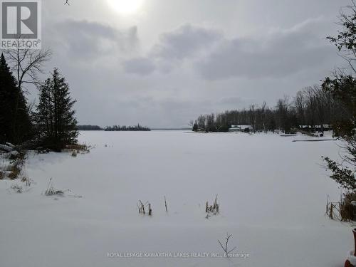 8 Fr 62 Street, Trent Lakes, ON - Outdoor With View
