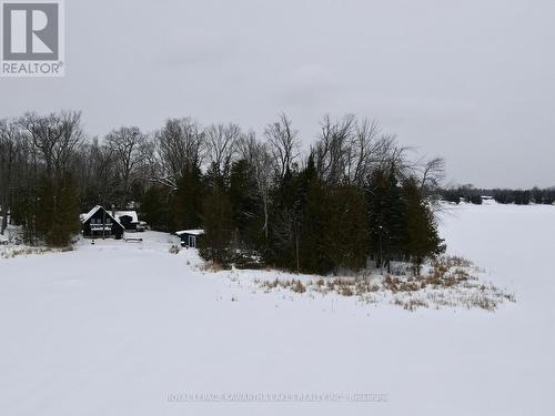 8 Fr 62 Street, Trent Lakes, ON - Outdoor With View