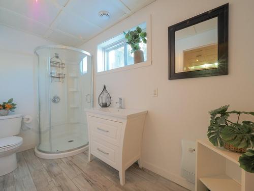 Salle de bains - 255 Rue Des Fuchsias, Trois-Rivières, QC - Indoor Photo Showing Bathroom
