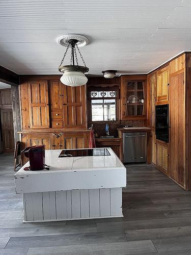 Autre - 17 Ch. Des Neufs-Milles, Notre-Dame-De-La-Paix, QC -  With Exterior