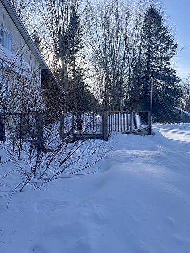 Extérieur - 17 Ch. Des Neufs-Milles, Notre-Dame-De-La-Paix, QC - Outdoor