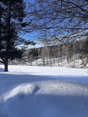 Extérieur - 17 Ch. Des Neufs-Milles, Notre-Dame-De-La-Paix, QC - Outdoor With View
