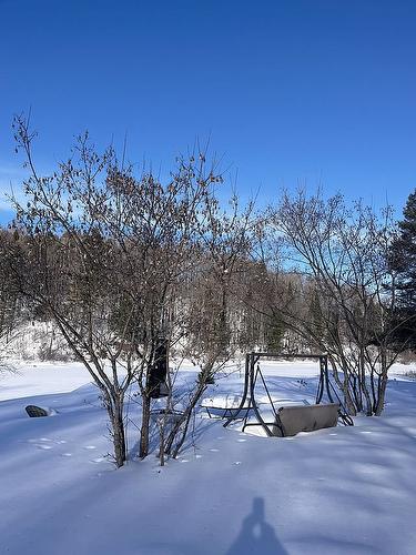 Extérieur - 17 Ch. Des Neufs-Milles, Notre-Dame-De-La-Paix, QC - Outdoor With View