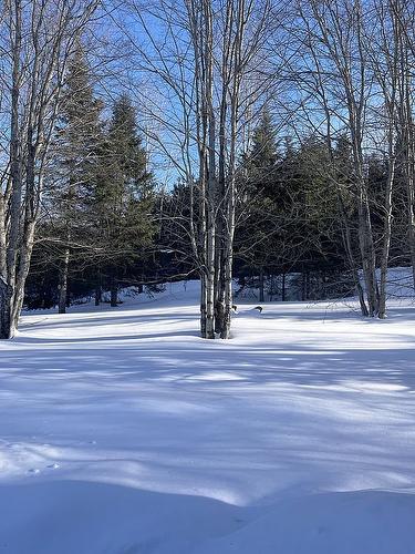 Extérieur - 17 Ch. Des Neufs-Milles, Notre-Dame-De-La-Paix, QC - Outdoor With View