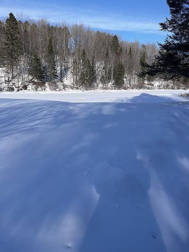 Extérieur - 17 Ch. Des Neufs-Milles, Notre-Dame-De-La-Paix, QC - Outdoor With View