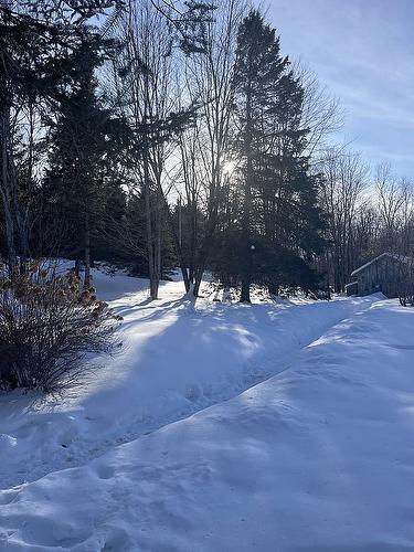 Extérieur - 17 Ch. Des Neufs-Milles, Notre-Dame-De-La-Paix, QC - Outdoor With View