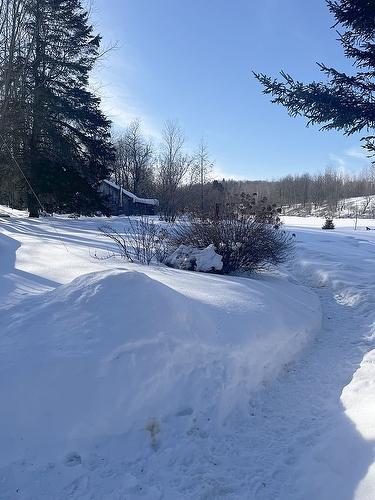 Extérieur - 17 Ch. Des Neufs-Milles, Notre-Dame-De-La-Paix, QC - Outdoor With View