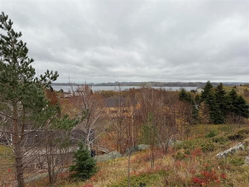 44 Whitney Street, Bay Roberts, NL 