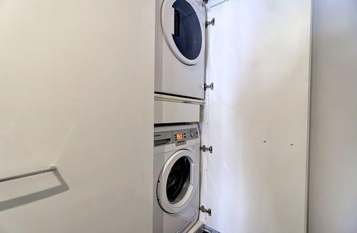 Salle de lavage - 315-1265 Rue Lambert-Closse, Montréal (Ville-Marie), QC - Indoor Photo Showing Laundry Room