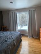 Chambre à coucher principale - 