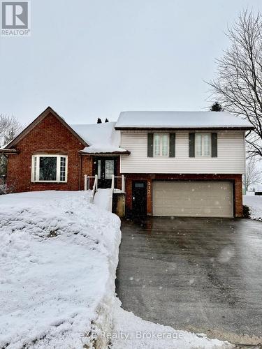 217 Thomas Street, Brockton, ON - Outdoor With Facade
