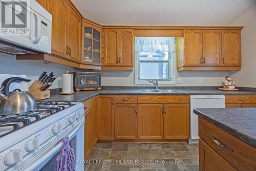94 Queen Street, Thames Centre (Dorchester), ON - Indoor Photo Showing Kitchen With Double Sink