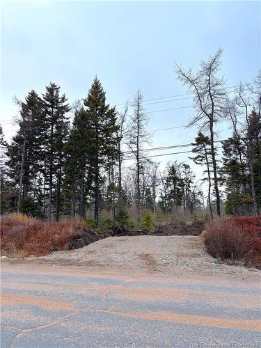 - Mink Brook Rd, Lepreau, NB 