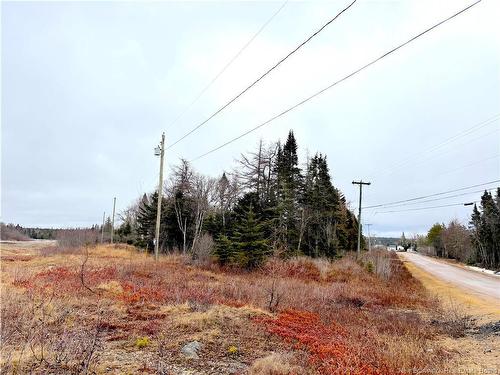 - Mink Brook Rd, Lepreau, NB 