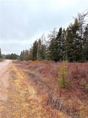 - Mink Brook Rd, Lepreau, NB 
