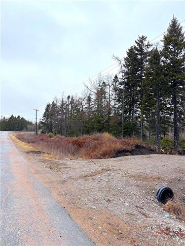 - Mink Brook Rd, Lepreau, NB 