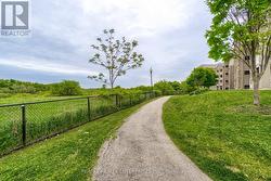 Walking Path During Summer Months - 