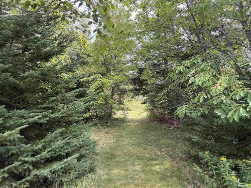 3535 Highway 255, Black Brook, NS 