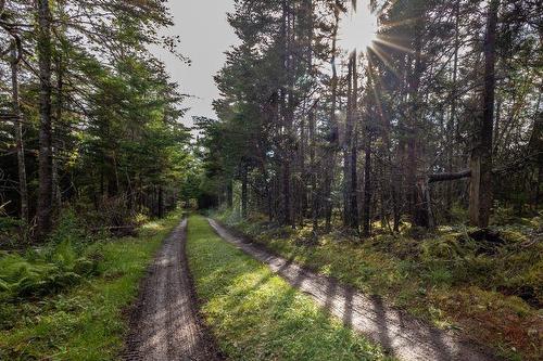 8132 Gabarus Highway, Gabarus, NS 