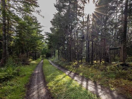 8132 Gabarus Highway, Gabarus, NS 