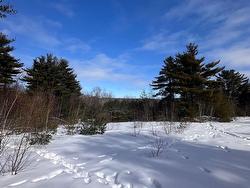 58 Eisenhauer Lane  Bridgewater, NS B4V 2P9