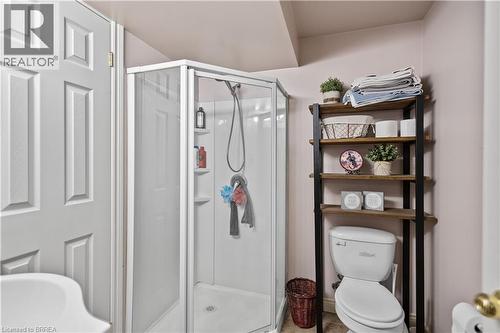 12 Falls Crescent, Simcoe, ON - Indoor Photo Showing Bathroom