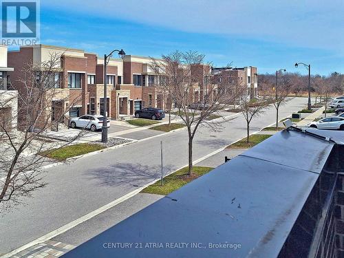 105 Anchusa Drive, Richmond Hill, ON - Outdoor